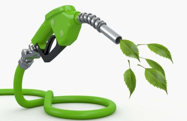 Green Light Europe: F1's Bold Eco-Shift for a Sustainable Racing Future